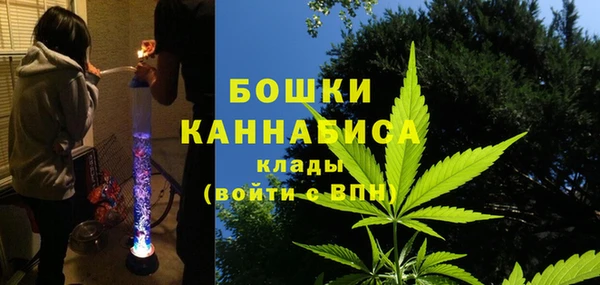 сатива Абаза